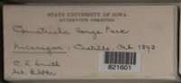 Image Associated With the Occurence